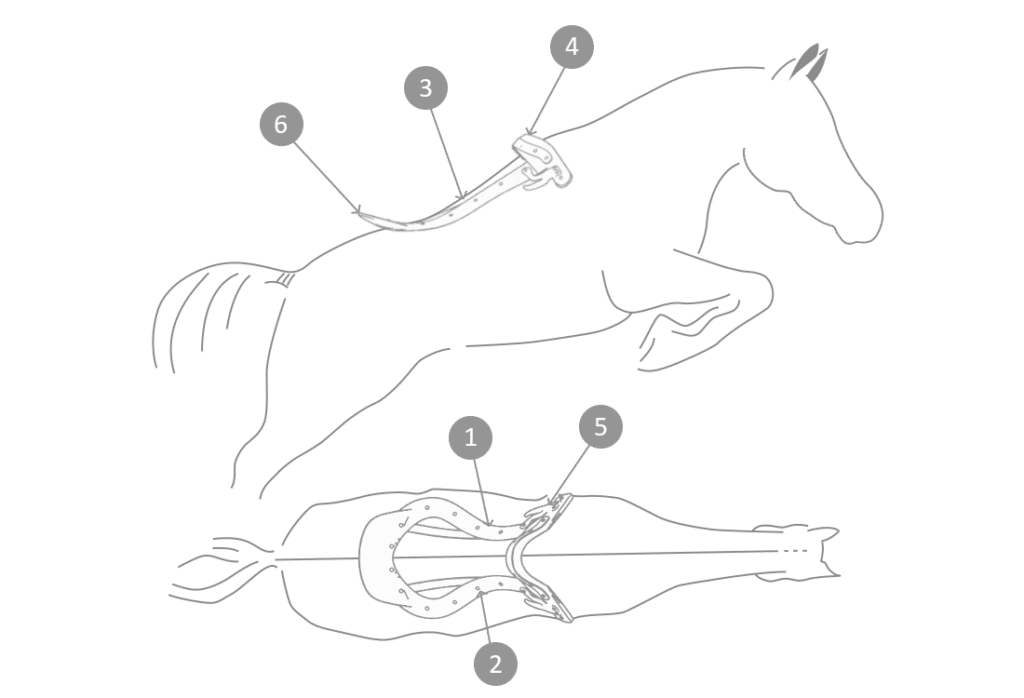 Mechanical behavior of a saddle tree