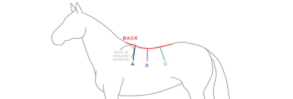 EN - Marks on the back