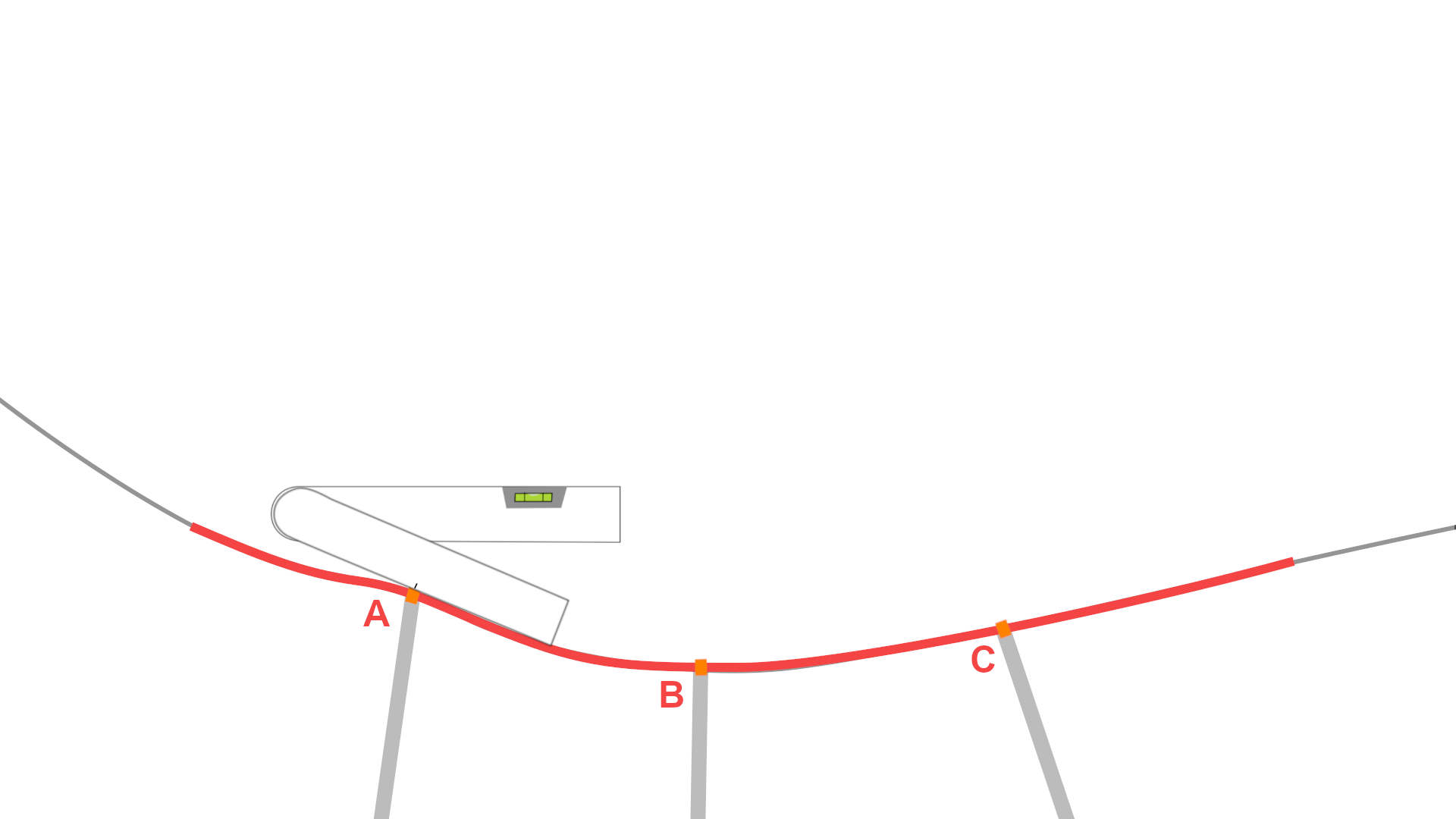 Schéma du profil longitudinal du dos