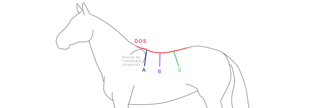 EN - Marks on the back