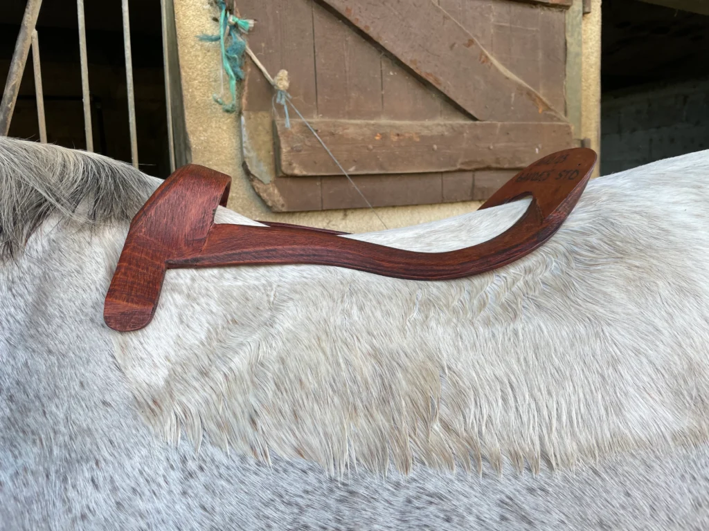 Arçon de selle sur le dos du cheval