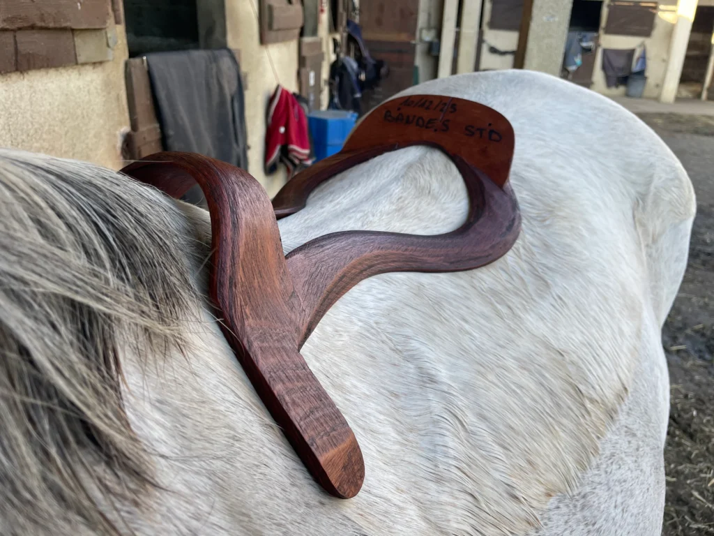 Arçon de selle sur le dos du cheval